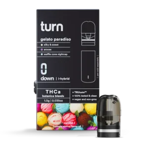 gelato paradiso // thca